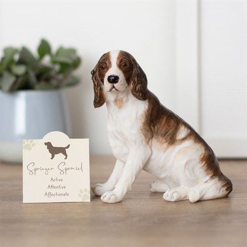 Springer Spaniel Dog Ornament | Inspired Creative Gifts | UK Supplier