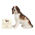 Springer Spaniel Dog Ornament | Inspired Creative Gifts | UK Supplier