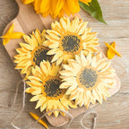 Sunflower Coaster Set | Inspired Creative Gifts | UK Supplier