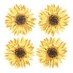 Sunflower Coaster Set | Inspired Creative Gifts | UK Supplier