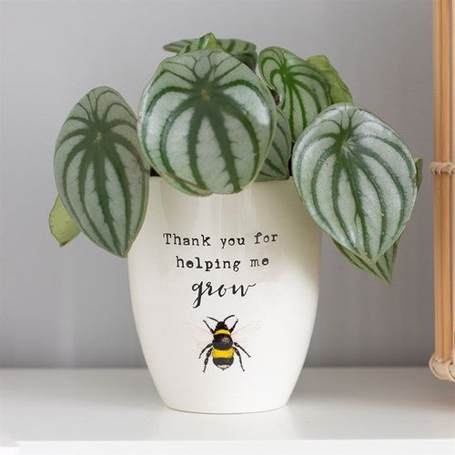 Thank You For Helping Me Grow Ceramic Plant Pot | Inspired Creative Gifts | UK Supplier