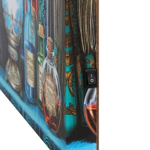 The Witches Apprentice Light Up Canvas Plaque by Lisa Parker | Inspired Creative Gifts | UK Supplier