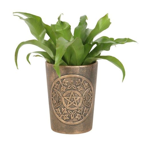 Triple Moon Bronze Terracotta Plant Pot by Lisa Parker | Inspired Creative Gifts | UK Supplier