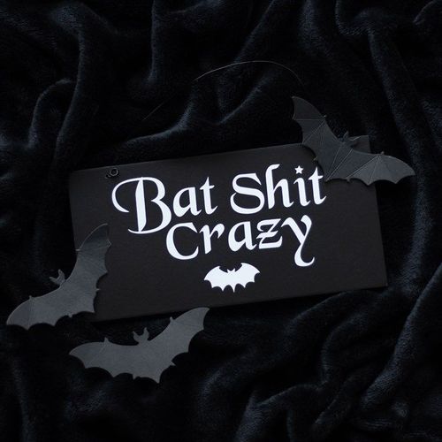 20cm Bat Shit Crazy Hanging Sign - Sign - Inspired Creative Gifts