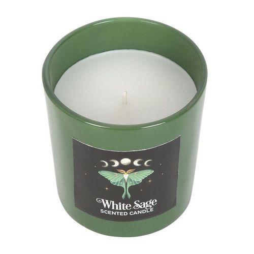 Luna Moth White Sage Candle - Candles - Inspired Creative Gifts