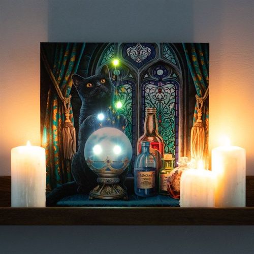 The Witches Apprentice Light Up Canvas Plaque by Lisa Parker - Wall Art - Inspired Creative Gifts