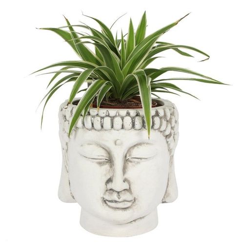 White Terracotta Buddha Head Planter | Inspired Creative Gifts | UK Supplier